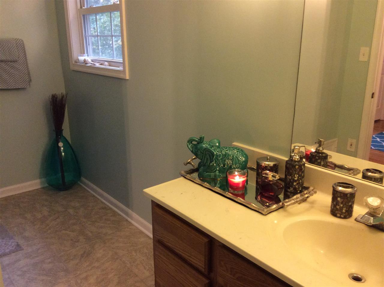 4003 Ruth Road Madison, VA 22727 - Photo 22 of 38 a bathroom with a sink vanity and a mirror