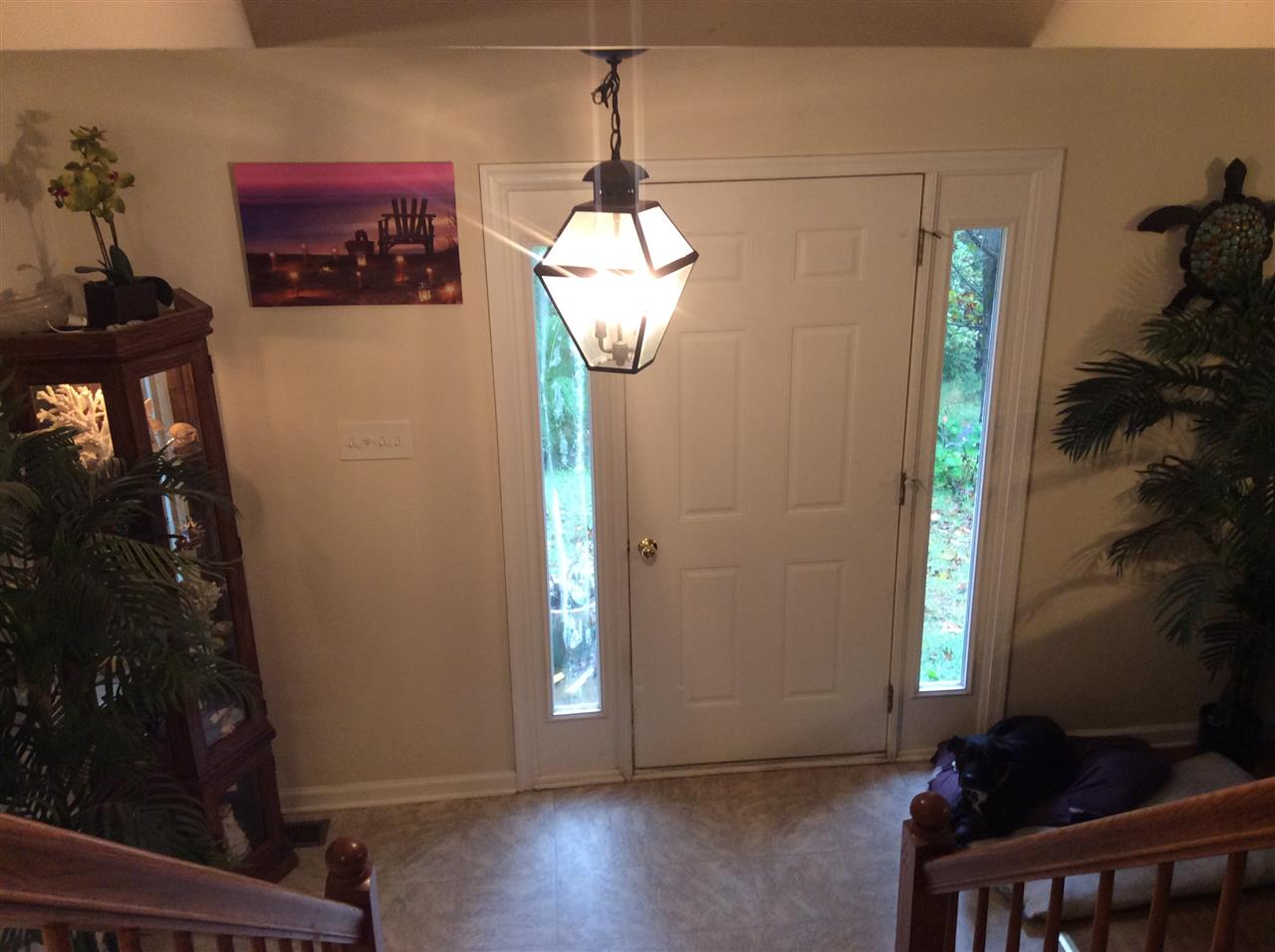 4003 Ruth Road Madison, VA 22727 - Photo 27 of 38 a view of a hallway with wooden floor and a potted plant