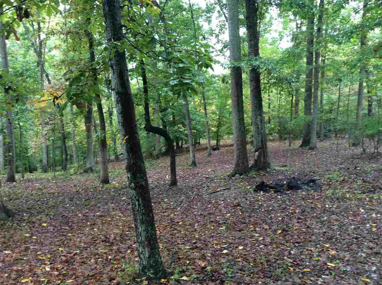 4003 Ruth Road Madison, VA 22727 - Photo 33 of 38 a view of a forest