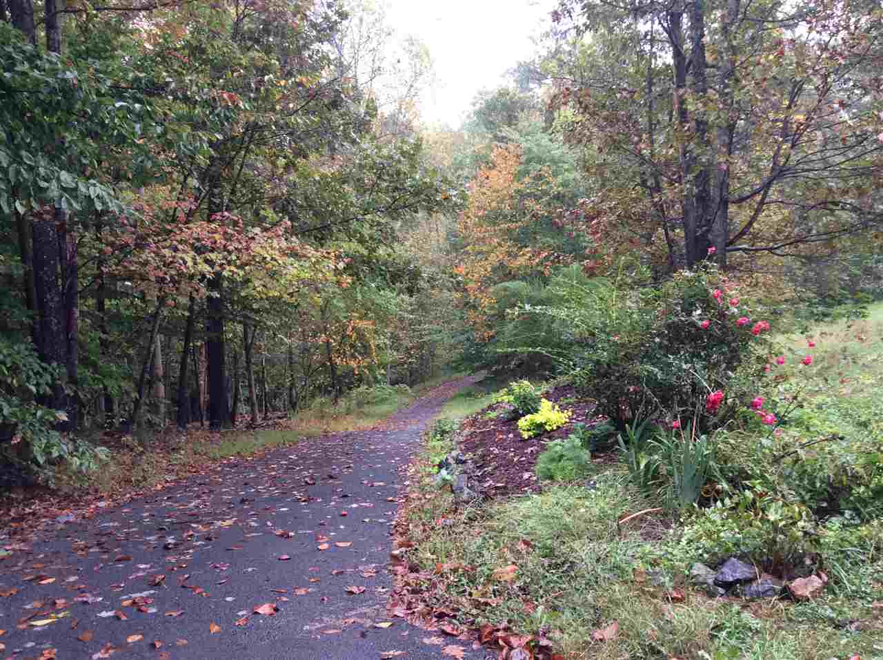 4003 Ruth Road Madison, VA 22727 - Photo 6 of 38 a view of outdoor space and tree