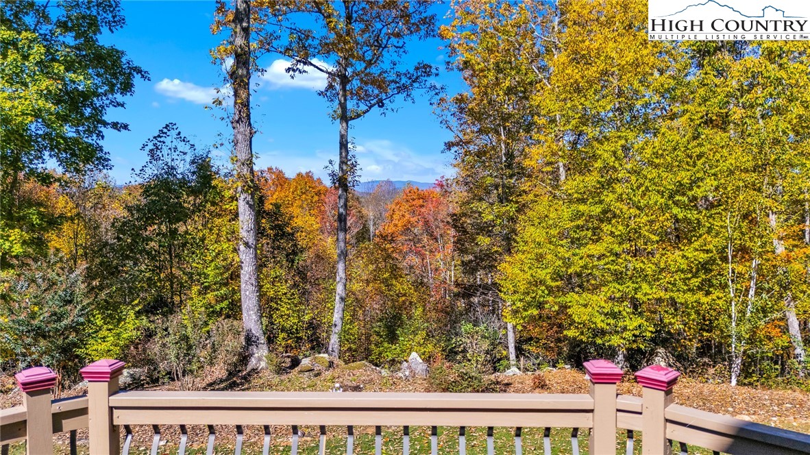 2650 Carson Woods Road Laurel Springs, NC 28644 - Photo 40 of 50 a view of a with flower