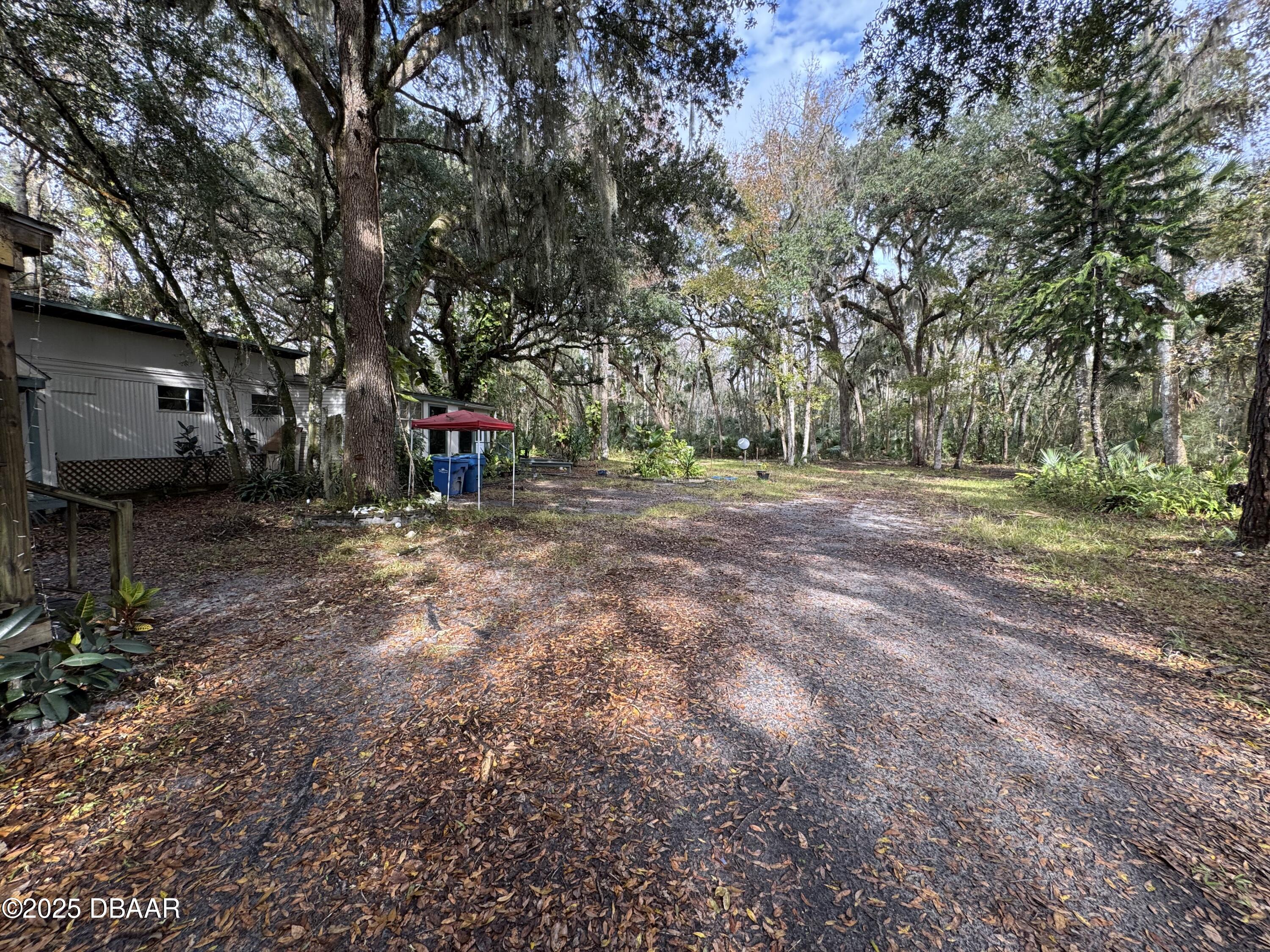 4311 Beacon Light Road Edgewater, FL 32141 - Photo 4 of 21 IMG_8014