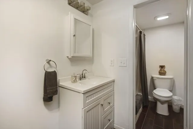 a bathroom with a sink toilet and vanity