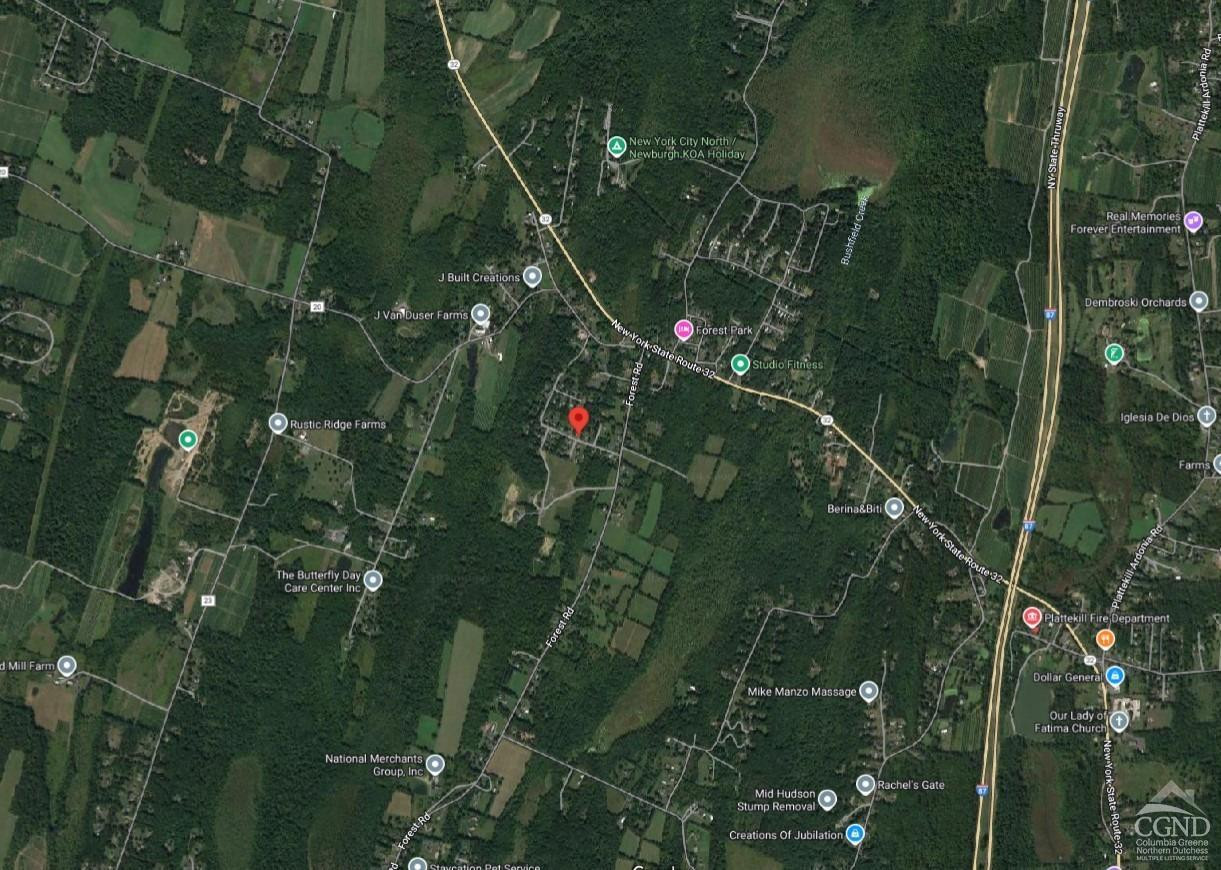 10 Elizabeth Drive Plattekill, NY 12589 - Photo 11 of 11 a view of a garden