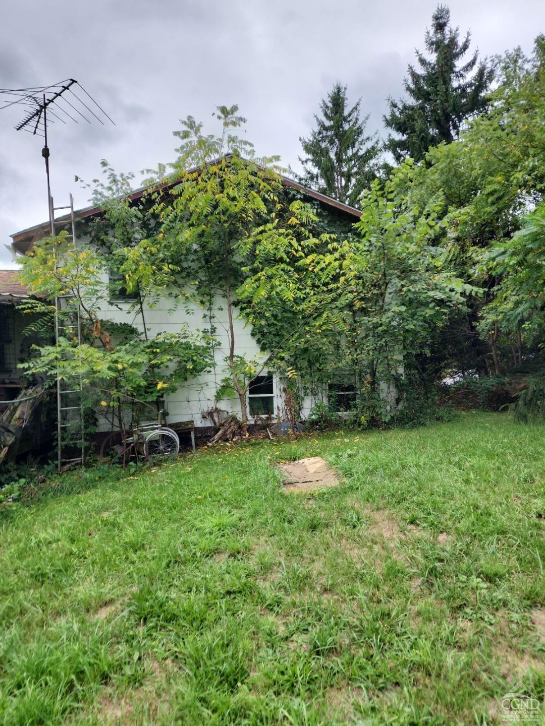 10 Elizabeth Drive Plattekill, NY 12589 - Photo 3 of 11 a view of a backyard with plants and a bench