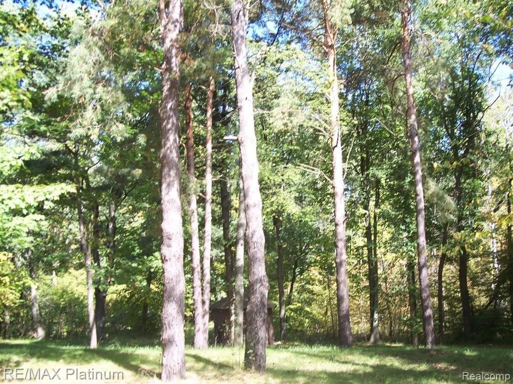 4107 Center Road Linden, MI 48451 - Photo 38 of 40 SUPER-PRETTY! JPG