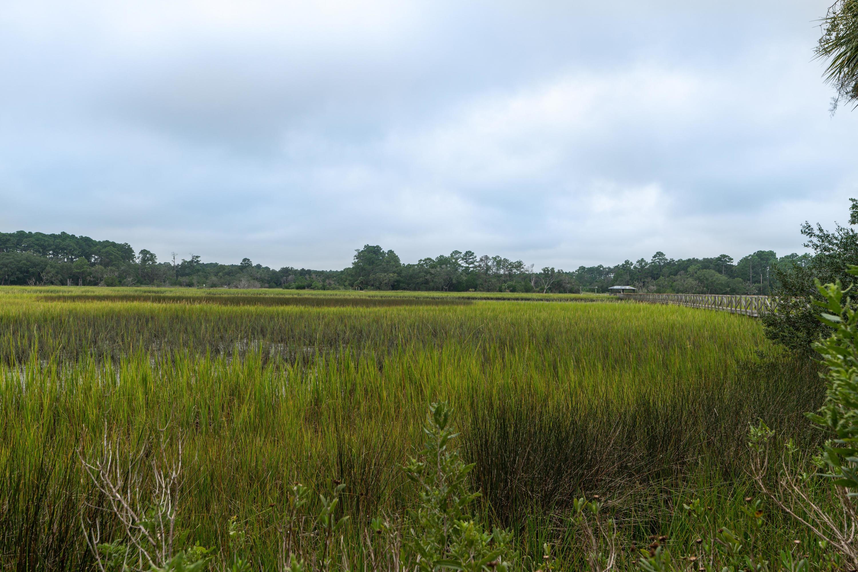 7789 Russell Creek Road Edisto Island, SC 29438 - Photo 18 of 63 EllisCreekPhotography-07776