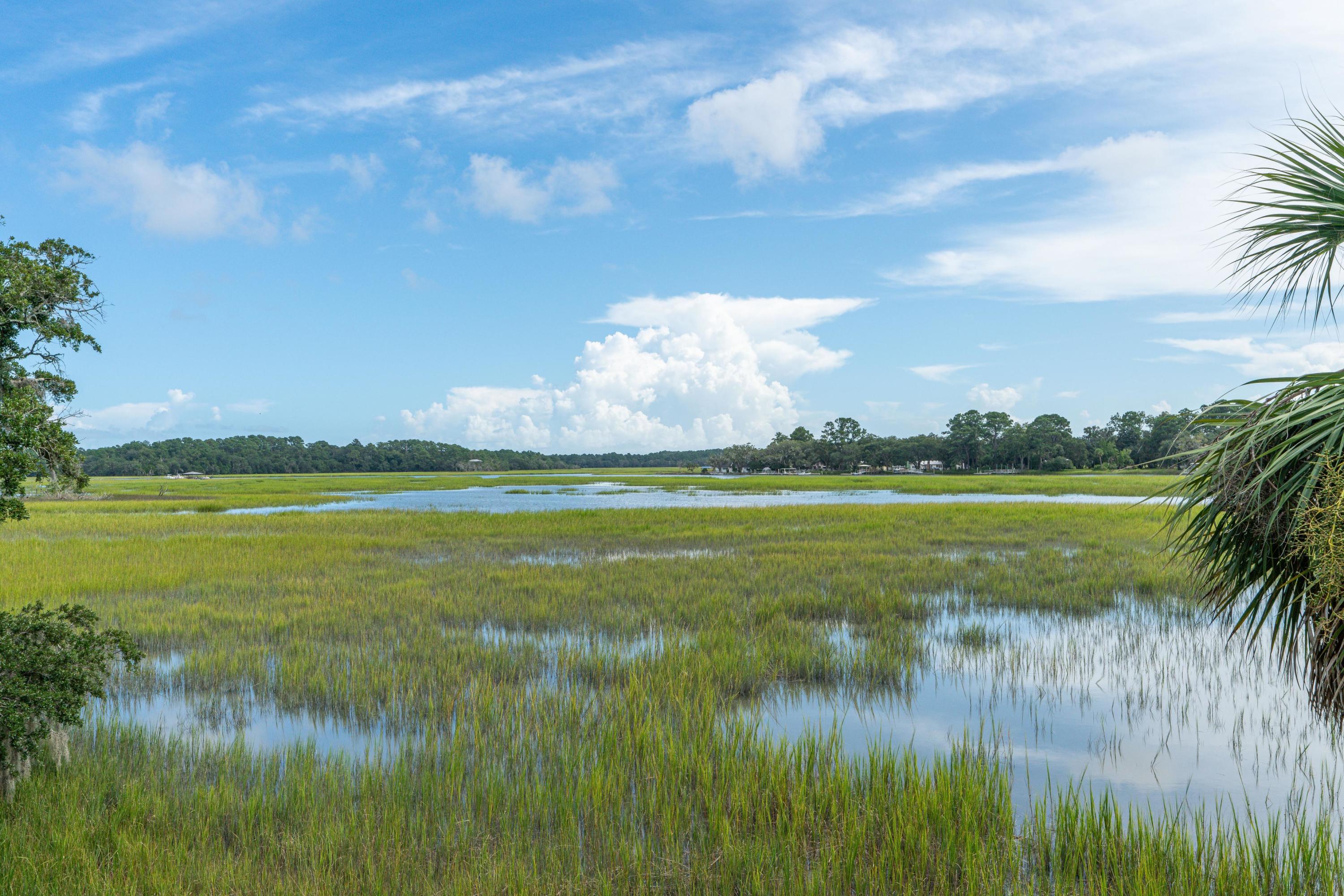 7789 Russell Creek Road Edisto Island, SC 29438 - Photo 30 of 63 EllisCreekPhotography-08011