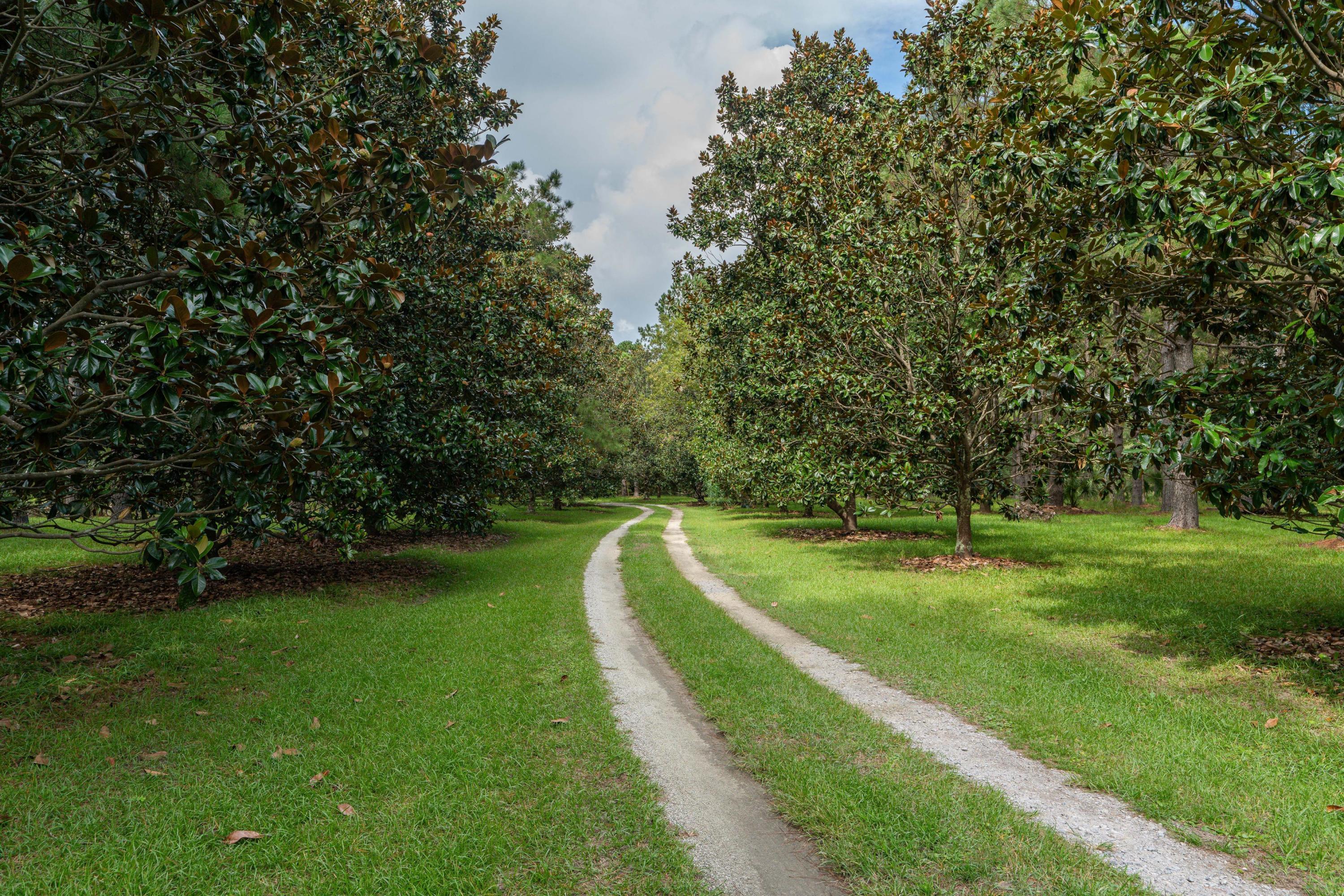 7789 Russell Creek Road Edisto Island, SC 29438 - Photo 35 of 63 EllisCreekPhotography-08028