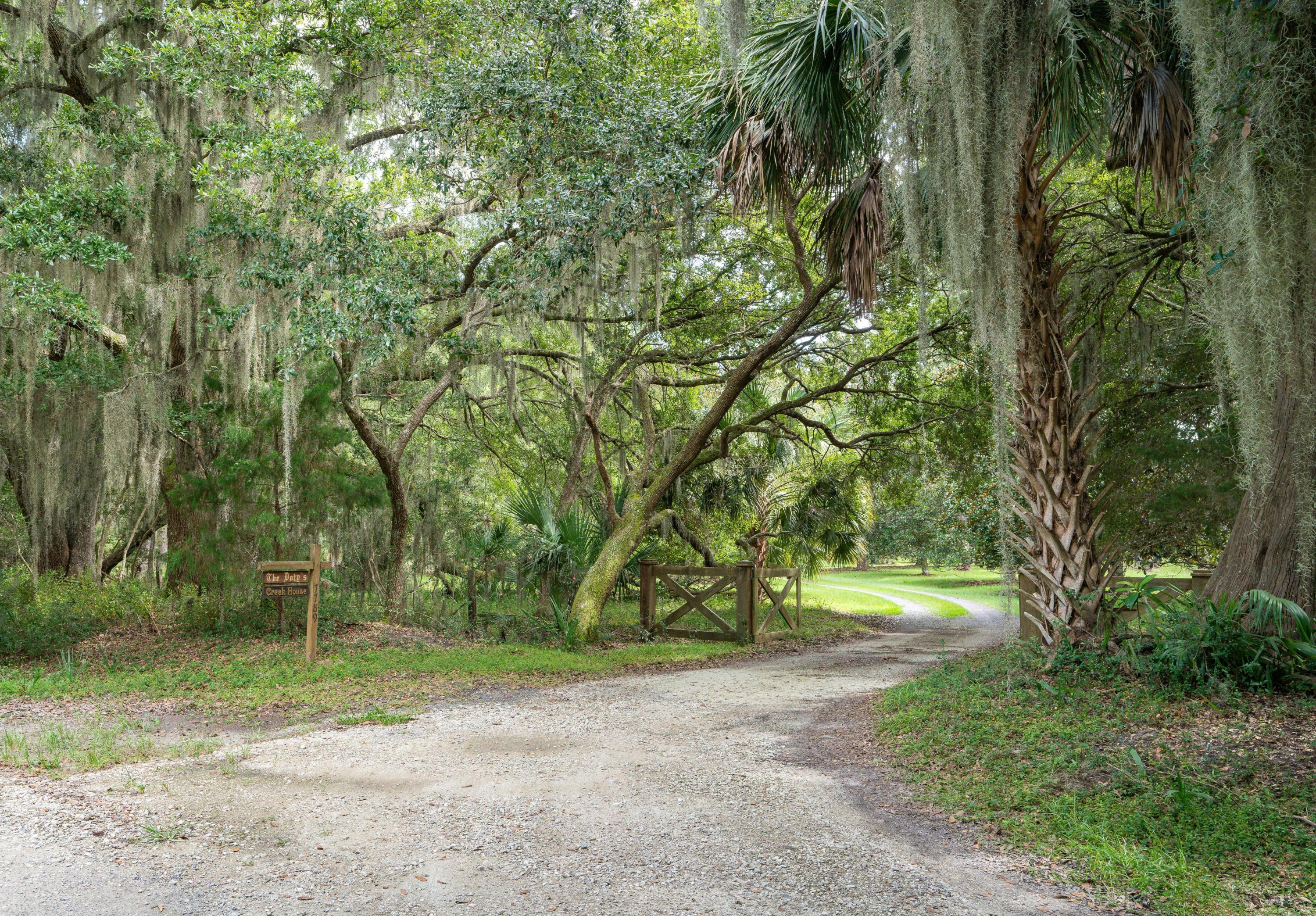 7789 Russell Creek Road Edisto Island, SC 29438 - Photo 38 of 63 EllisCreekPhotography-08038