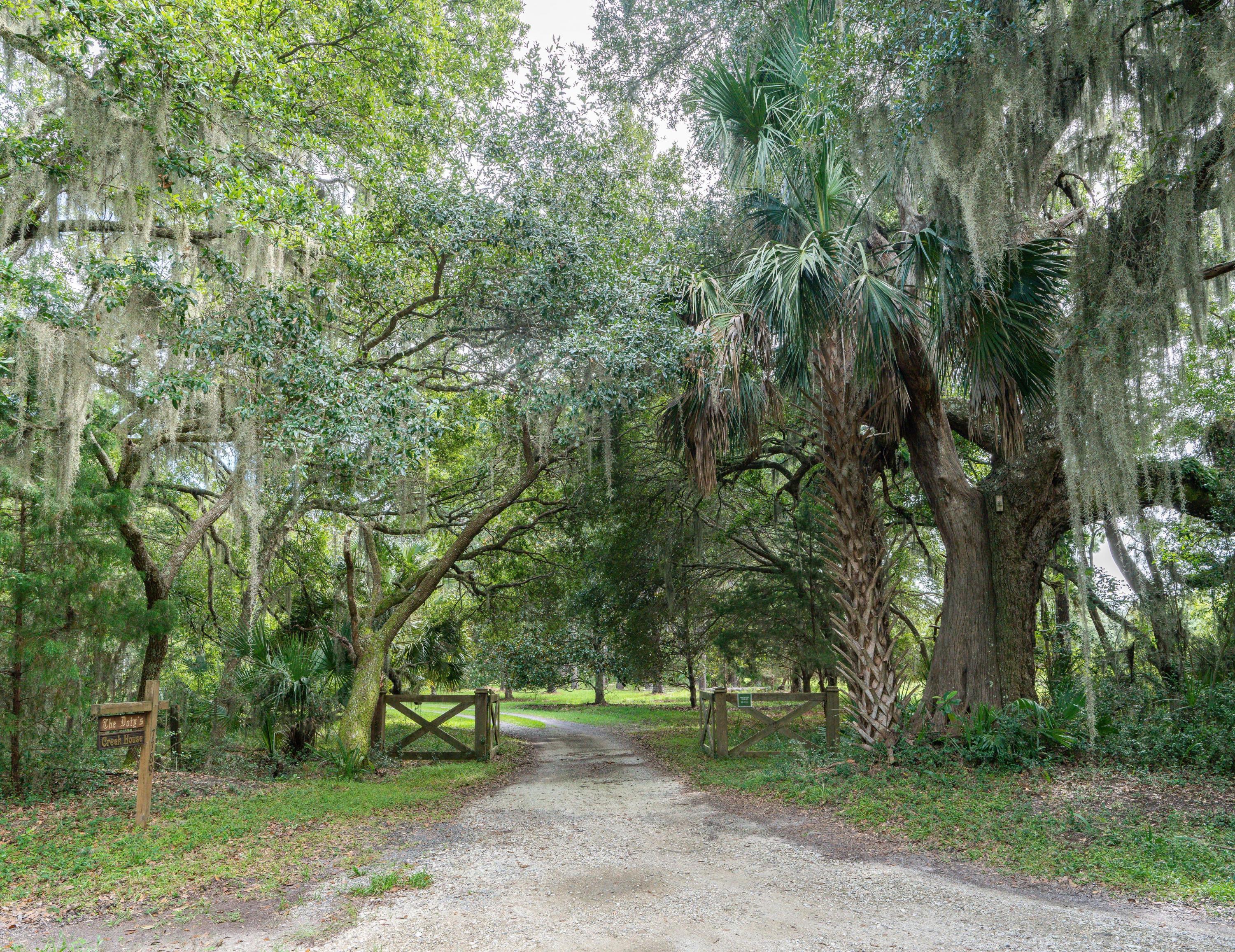 7789 Russell Creek Road Edisto Island, SC 29438 - Photo 39 of 63 EllisCreekPhotography-08041