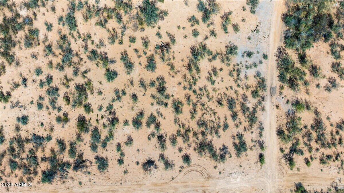 Xxxx 4th Street, Unit 12 Douglas, AZ 85607 - Photo 11 of 12 a view of a dry yard