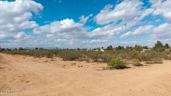 a view of a dry yard