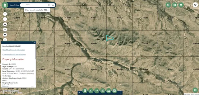 $9,000 | 70342 Tbd 20 Acres, Sierra Blanca, TX 79851