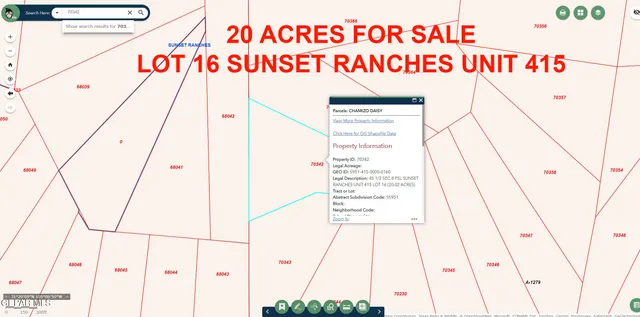 $9,000 | 70342 Tbd 20 Acres, Sierra Blanca, TX 79851