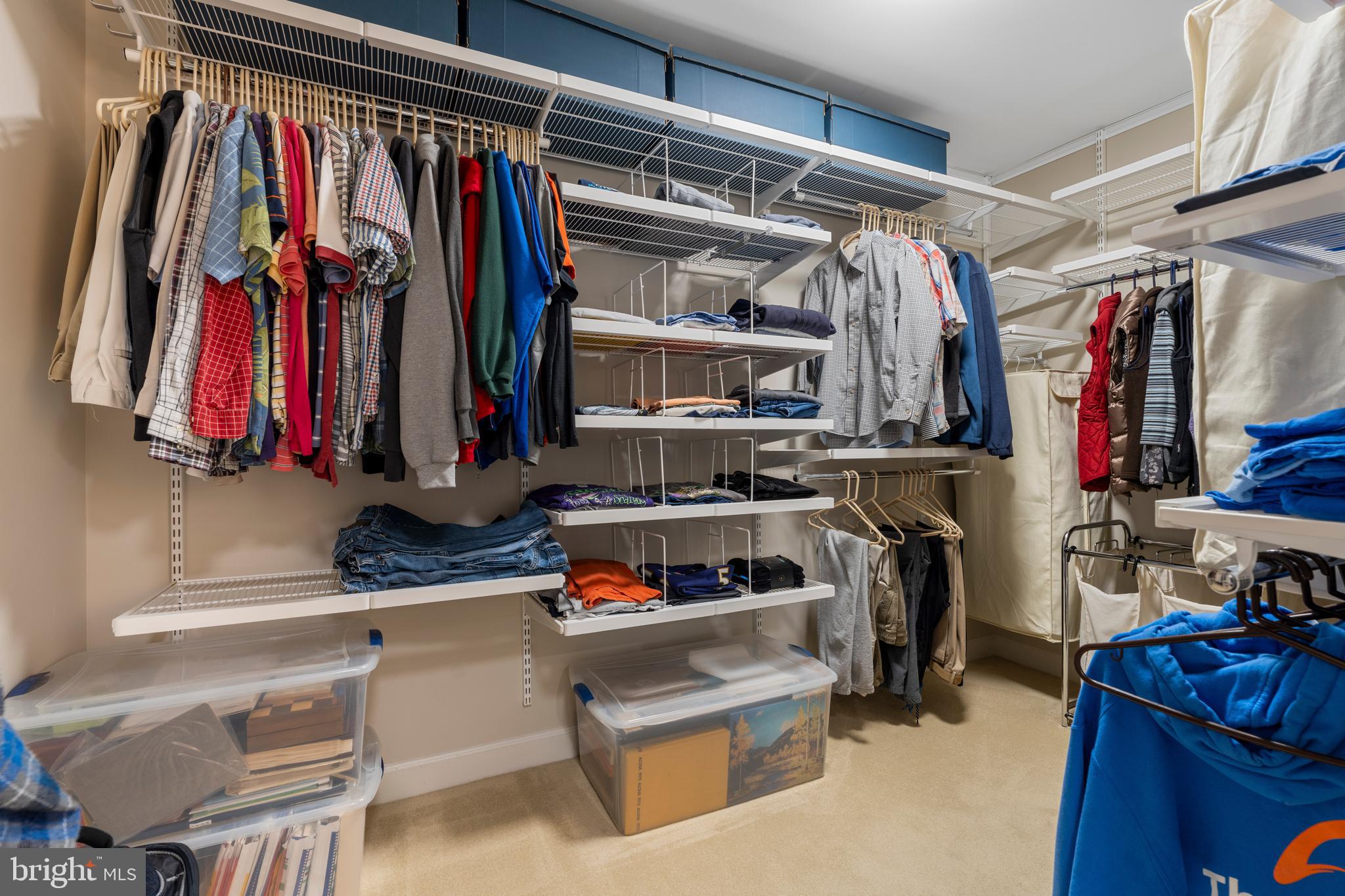 2 Southerly Court, Unit 302 Towson, MD 21286 - Photo 26 of 34 a view of walk in closet with clothes and shoes