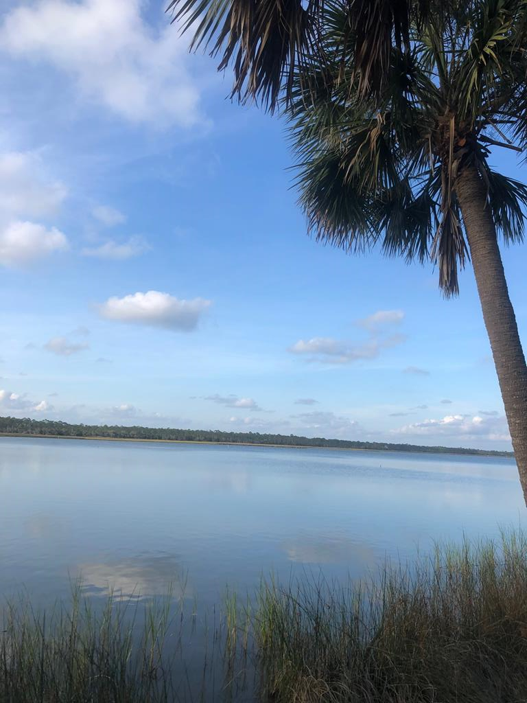 Lot 3 Indian Pass Road Port St. Joe, FL 32456 - Photo 3 of 25
