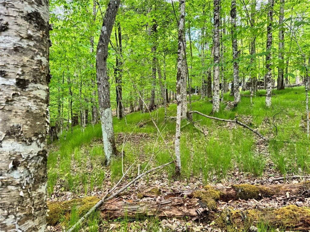 146 Hornbeam Road Beech Mountain, NC 28604 - Photo 12 of 14