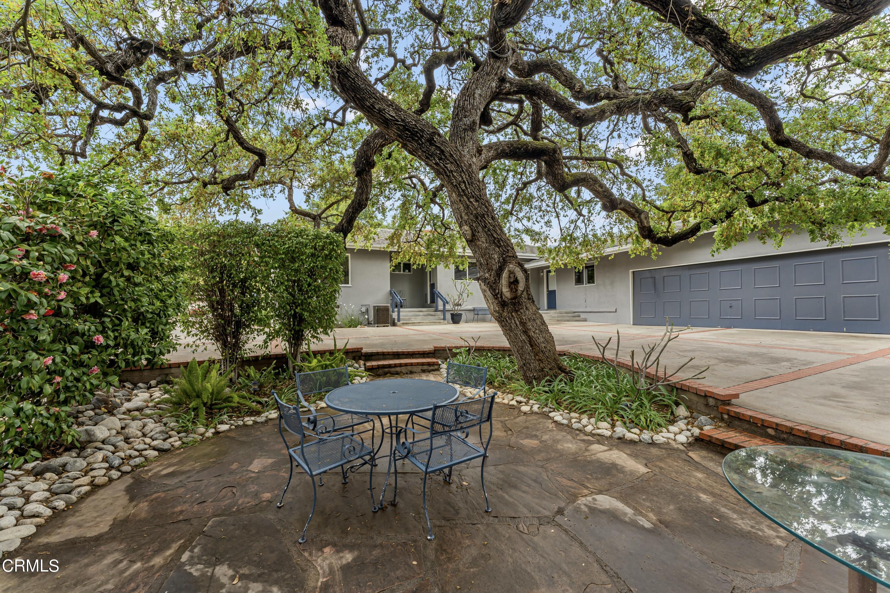 3850 Shadow Grove Road Pasadena, CA 91107 - Photo 46 of 53 a view of a backyard with table and chairs plants and a large tree