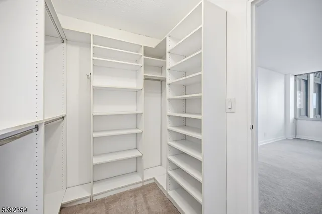 a view of walk in closet with empty racks