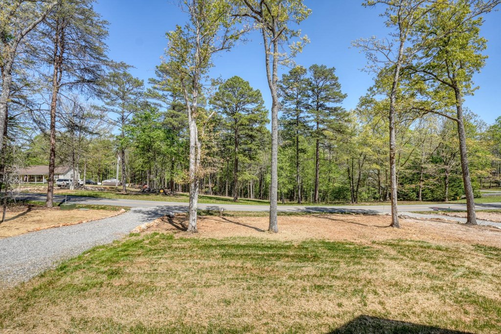 1347 John Smith Road East Blairsville, GA 30512 - Photo 34 of 47