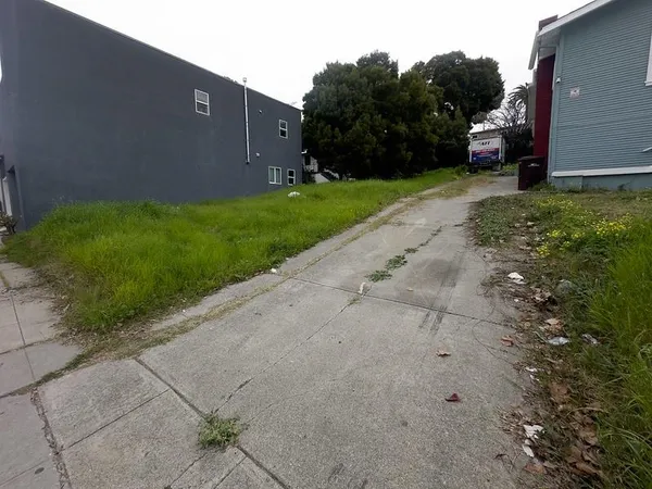 a view of a back yard