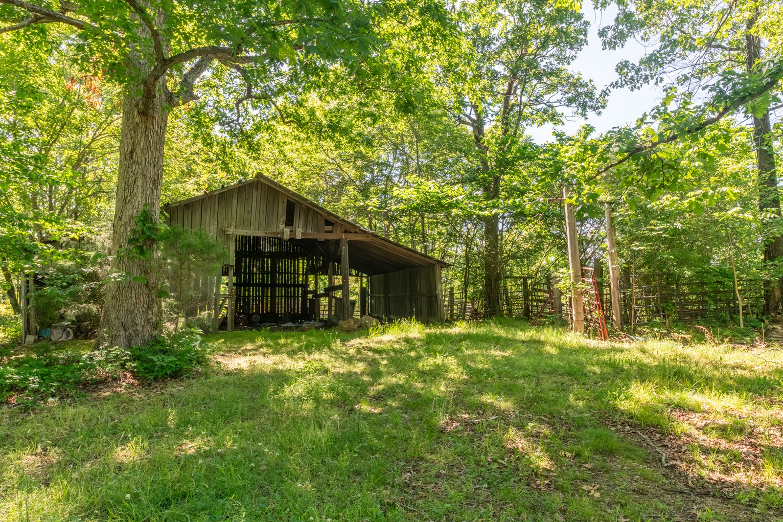 592 Eno Road Dickson, TN 37055 - Photo 11 of 27