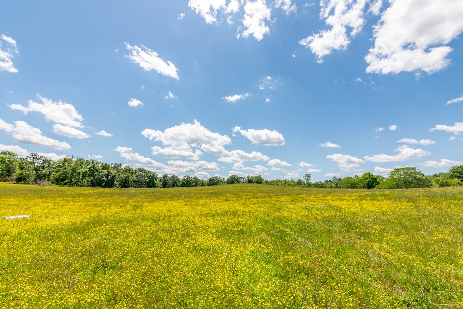 592 Eno Road Dickson, TN 37055 - Photo 12 of 27