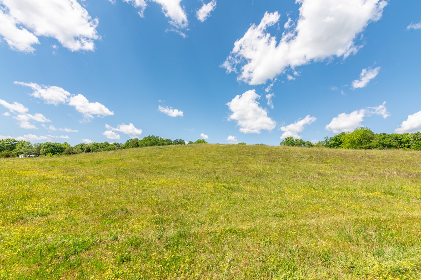 592 Eno Road Dickson, TN 37055 - Photo 13 of 27