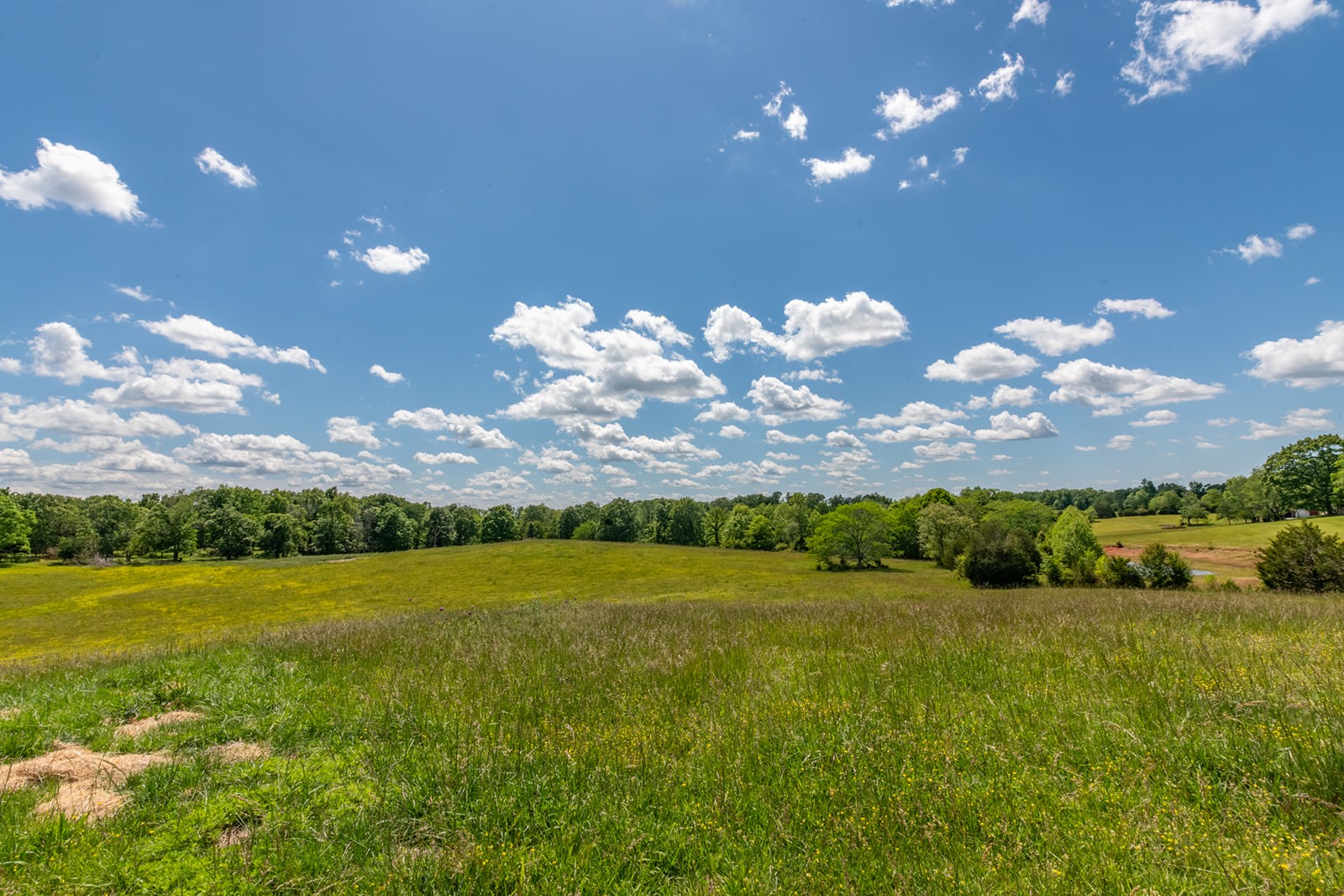 592 Eno Road Dickson, TN 37055 - Photo 5 of 27