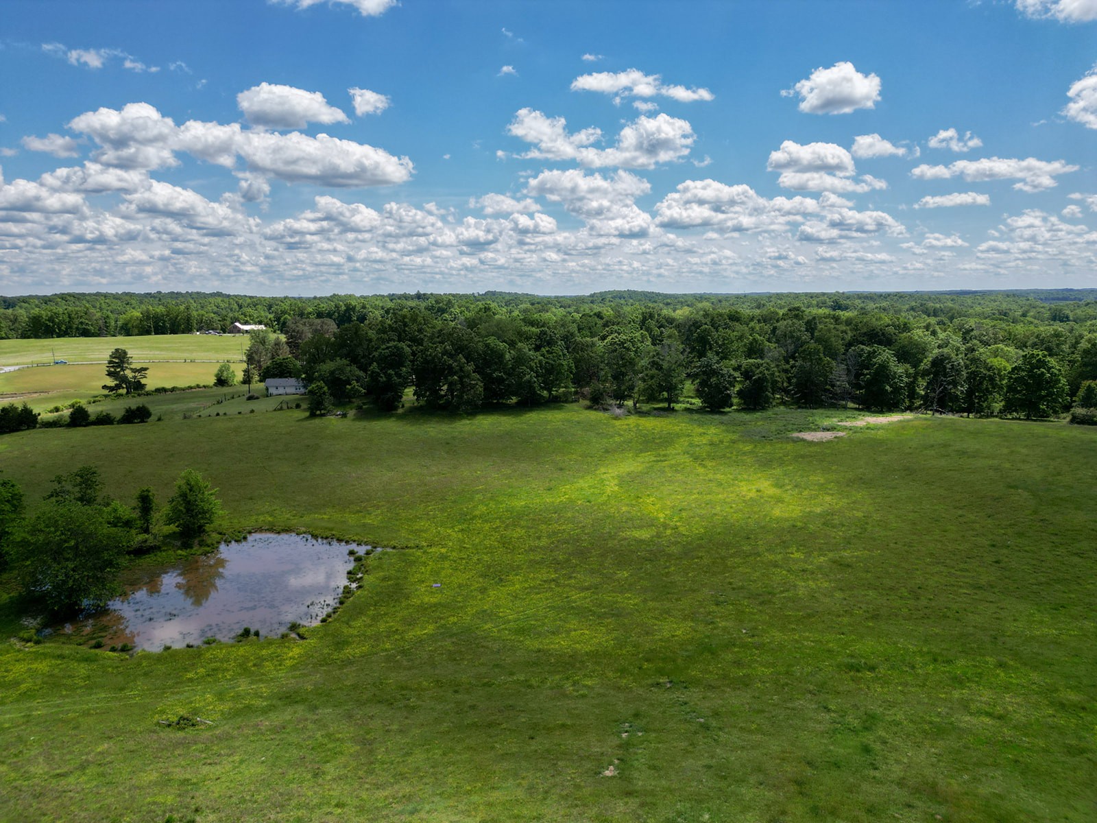 592 Eno Road Dickson, TN 37055 - Photo 6 of 27