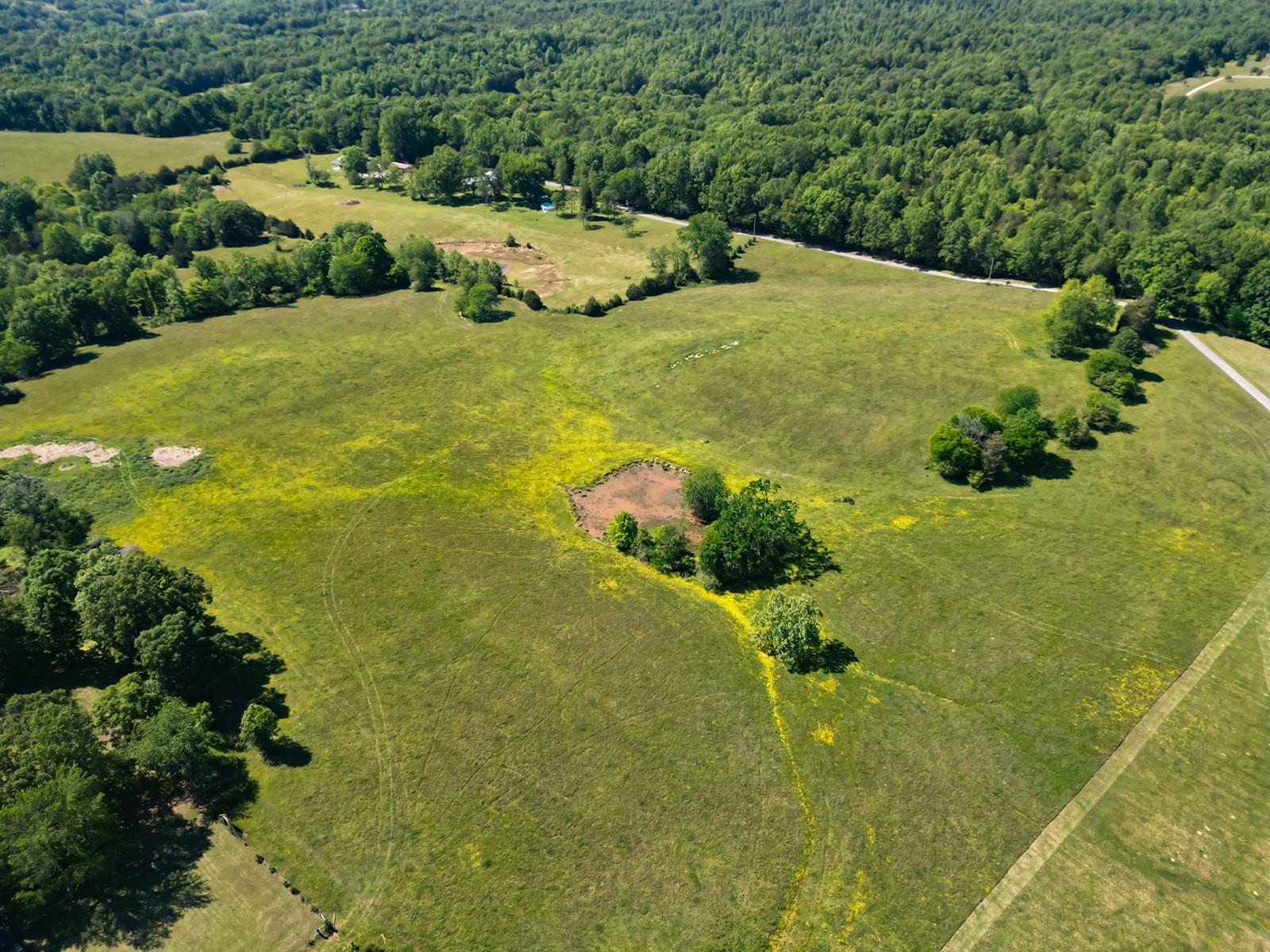 592 Eno Road Dickson, TN 37055 - Photo 7 of 27