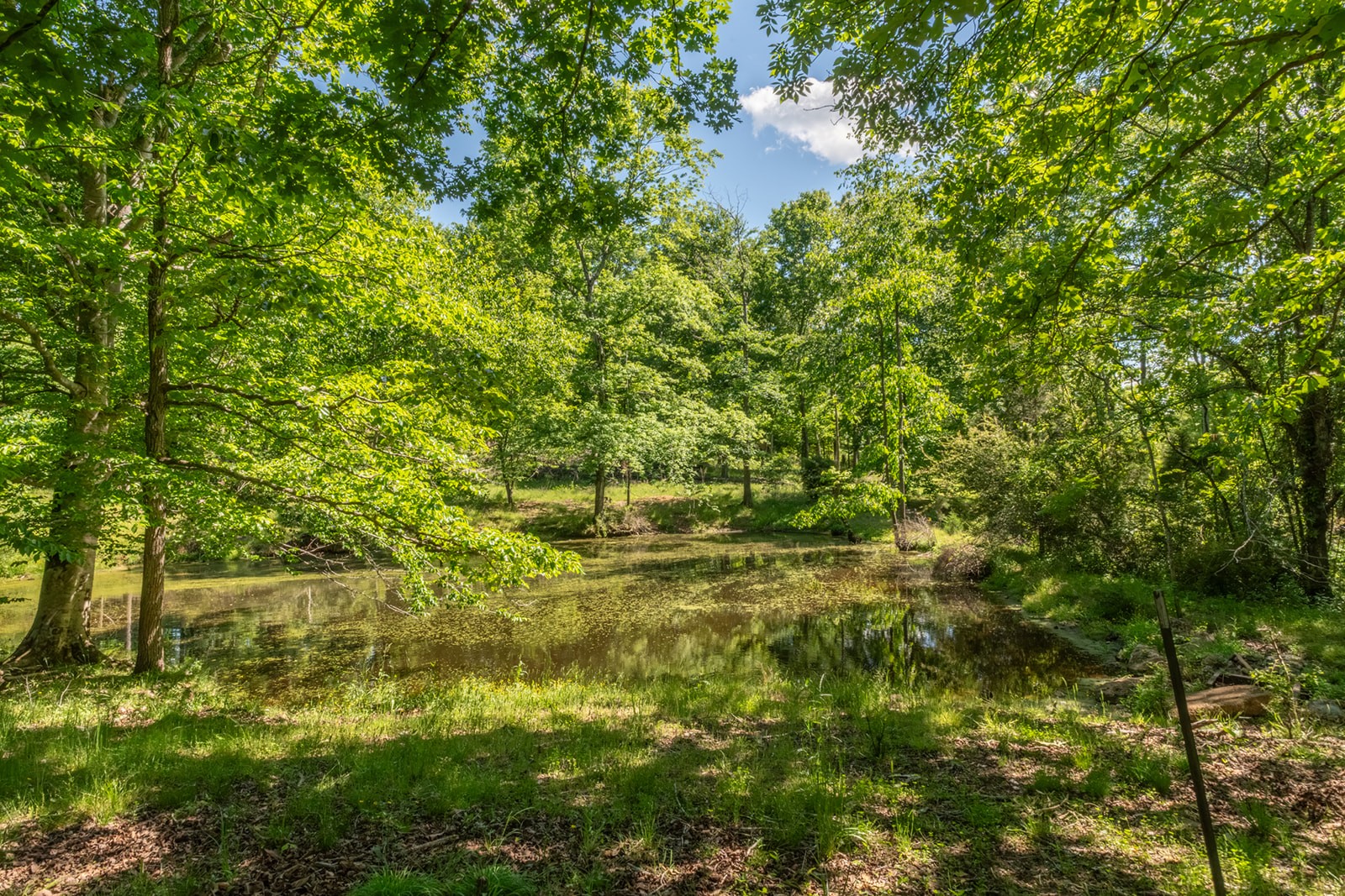592 Eno Road Dickson, TN 37055 - Photo 9 of 27