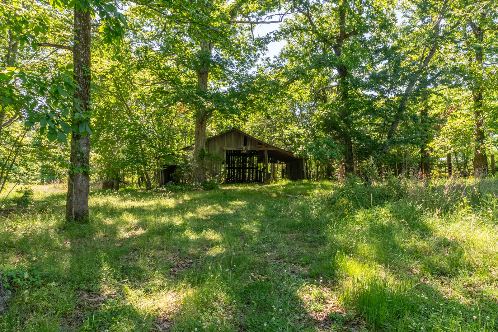 592 Eno Road Dickson, TN 37055 - Photo 10 of 27