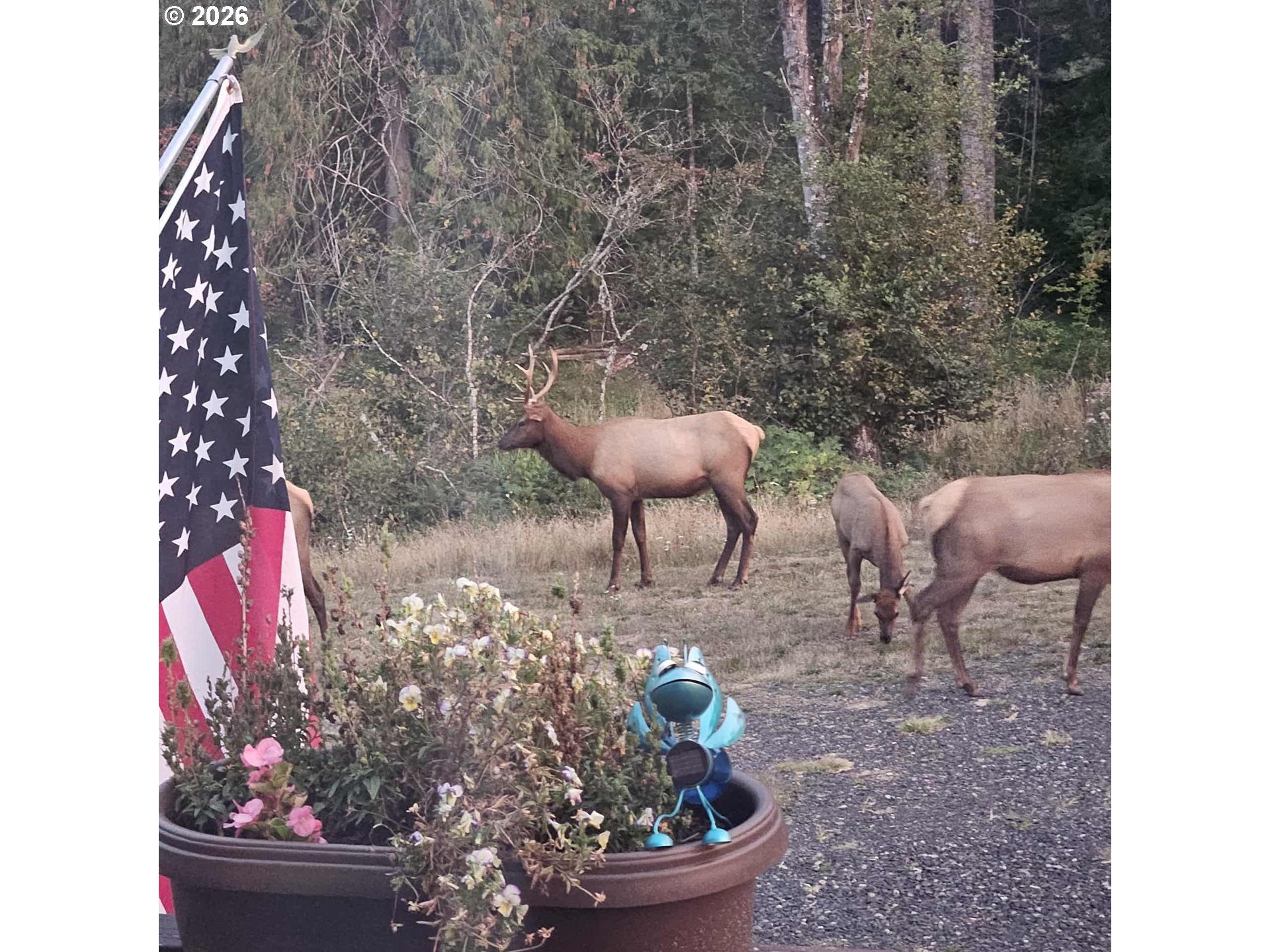 252 Blackledge Road Carson, WA 98610 - Photo 15 of 15