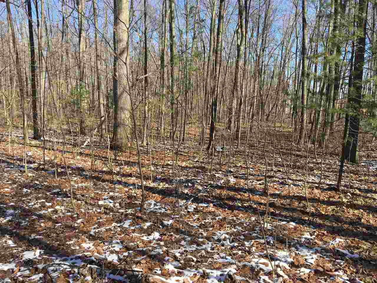 Parcel A North Byron Road Lennon, MI 48449 - Photo 15 of 22