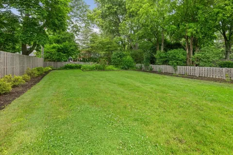 a view of a backyard with a trees