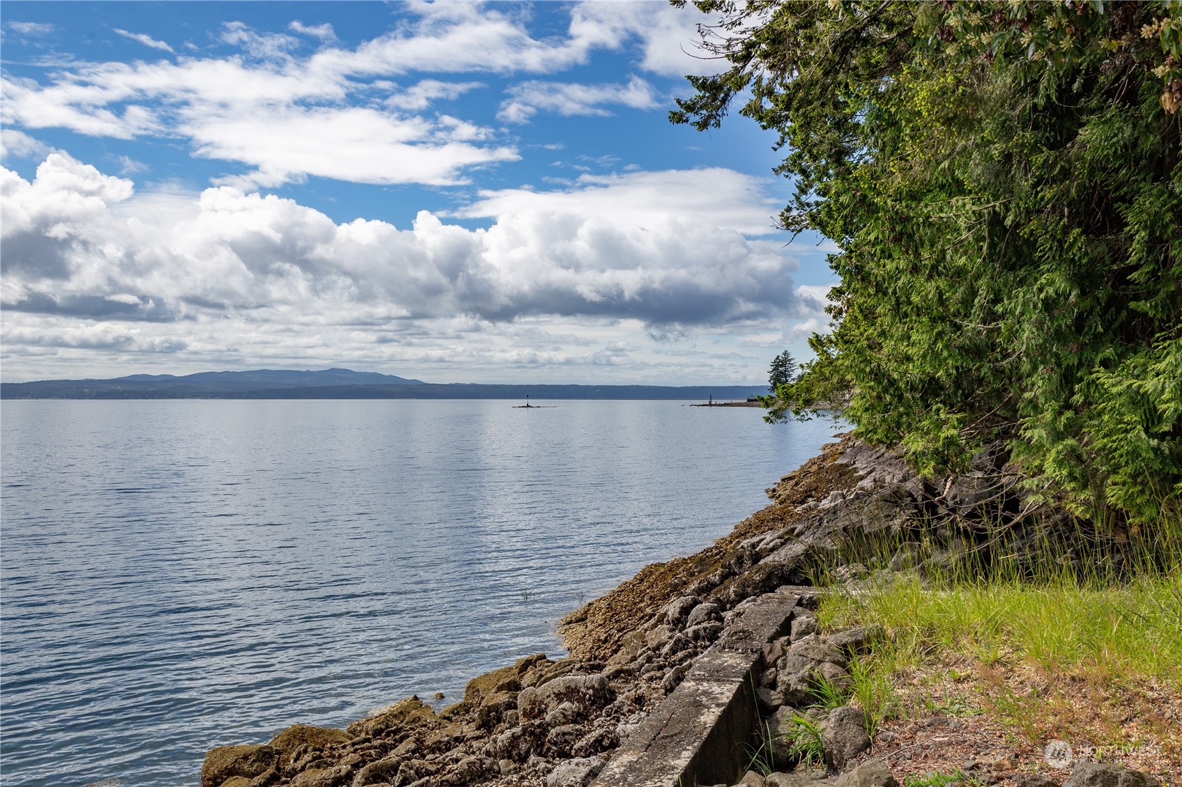 80 Seal Rock Road Brinnon, WA 98320 - Photo 10 of 40 Gallery Image 10