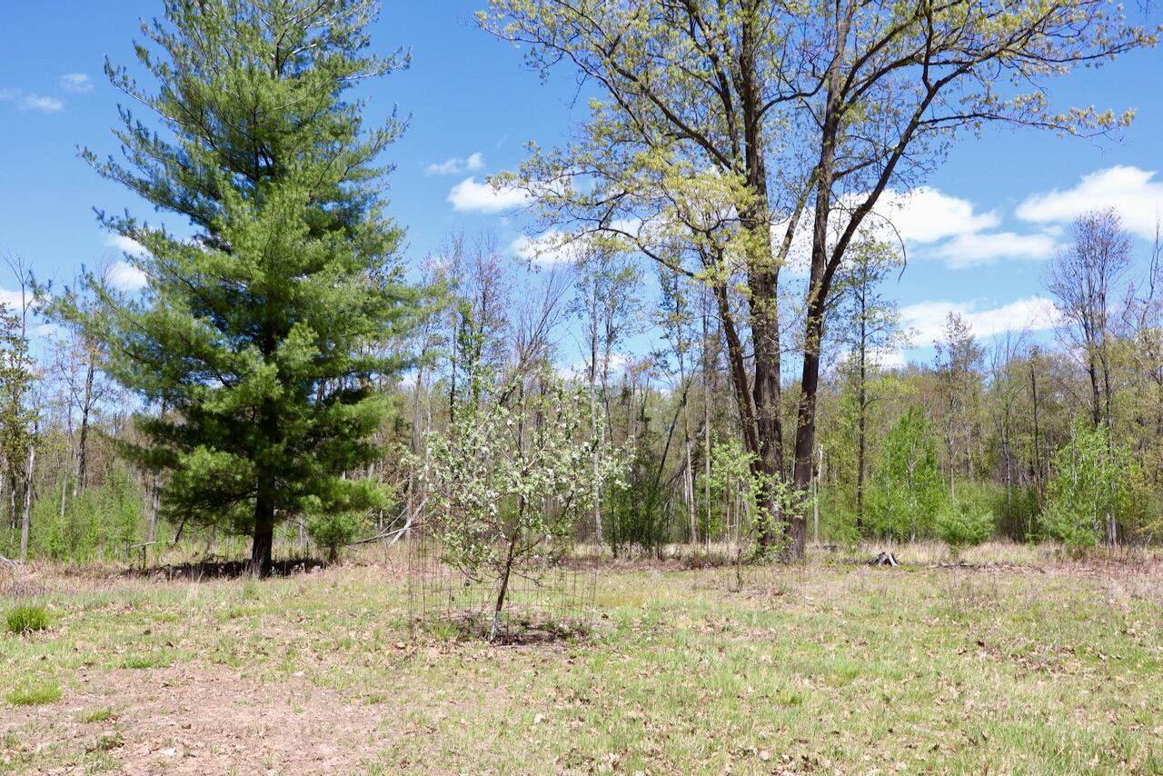 La Grant Road Alger, MI 48610 - Photo 16 of 46 011