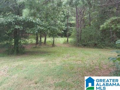 0 Coleman Road Sylacauga, AL 35150 - Photo 2 of 13