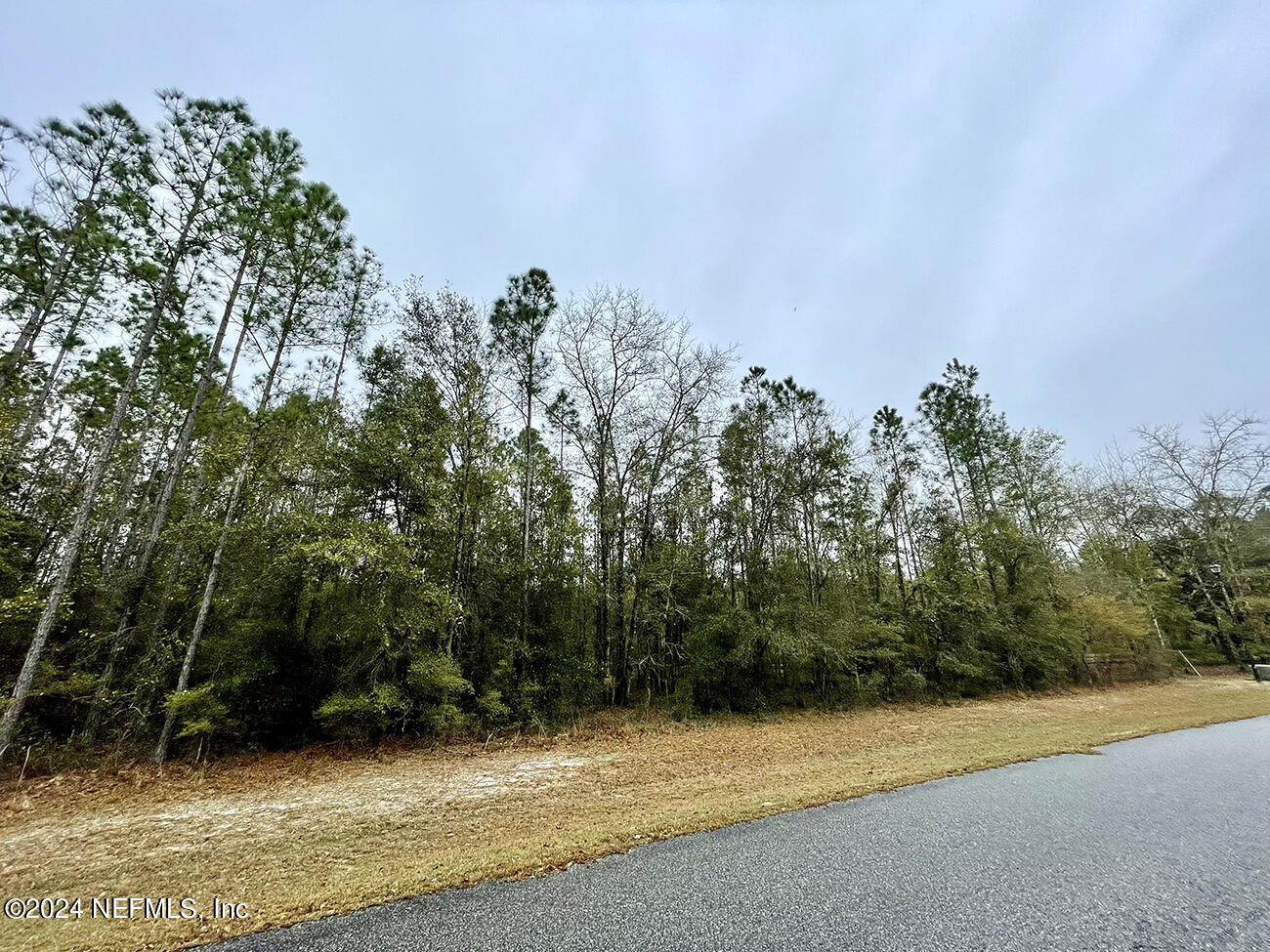 15436 Bullock Bluff Road Bryceville, FL 32009 - Photo 11 of 19 IMG_3627