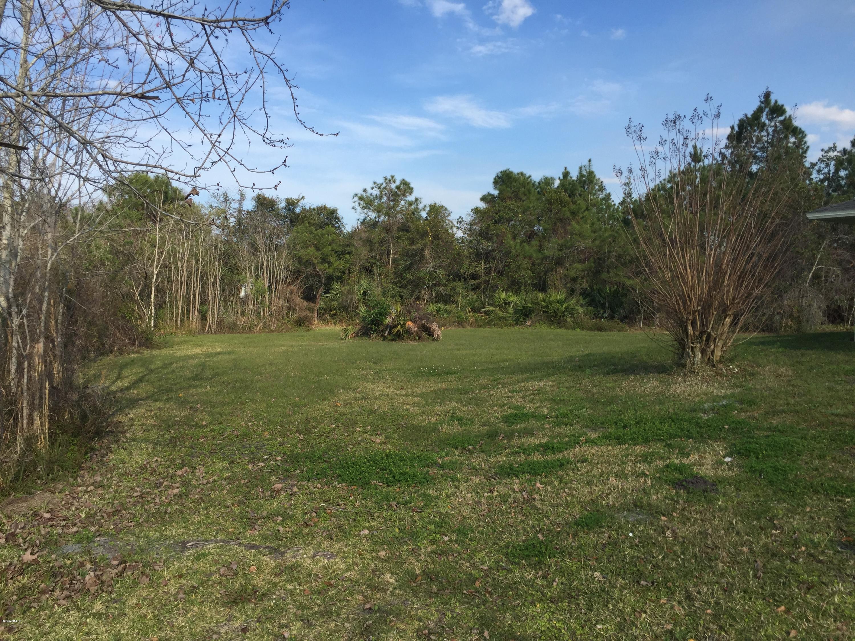 5175 Harrison Road Mims, FL 32754 - Photo 15 of 18 IMG_0909