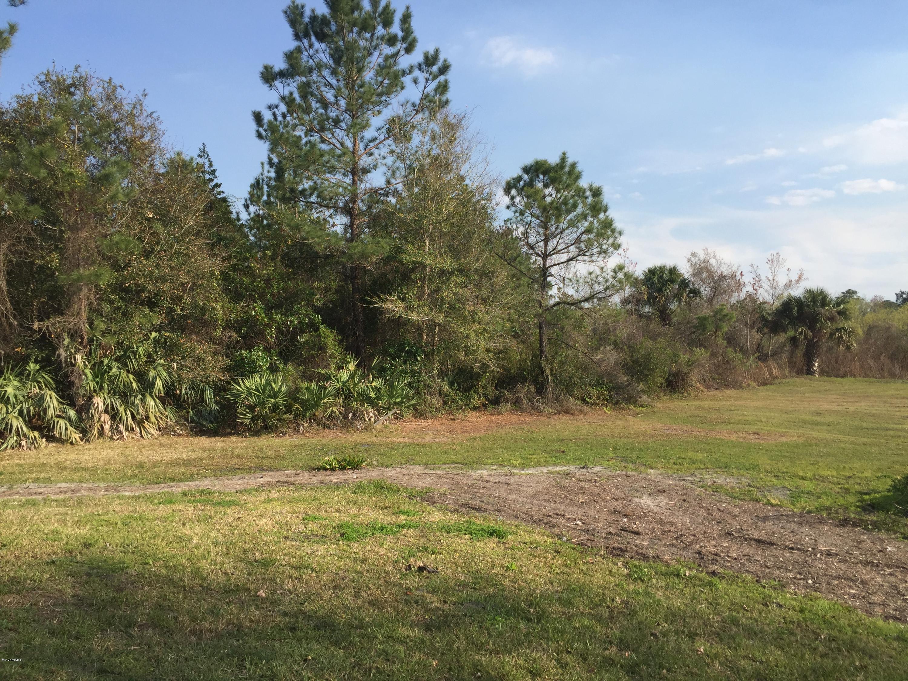 5175 Harrison Road Mims, FL 32754 - Photo 17 of 18 IMG_0927