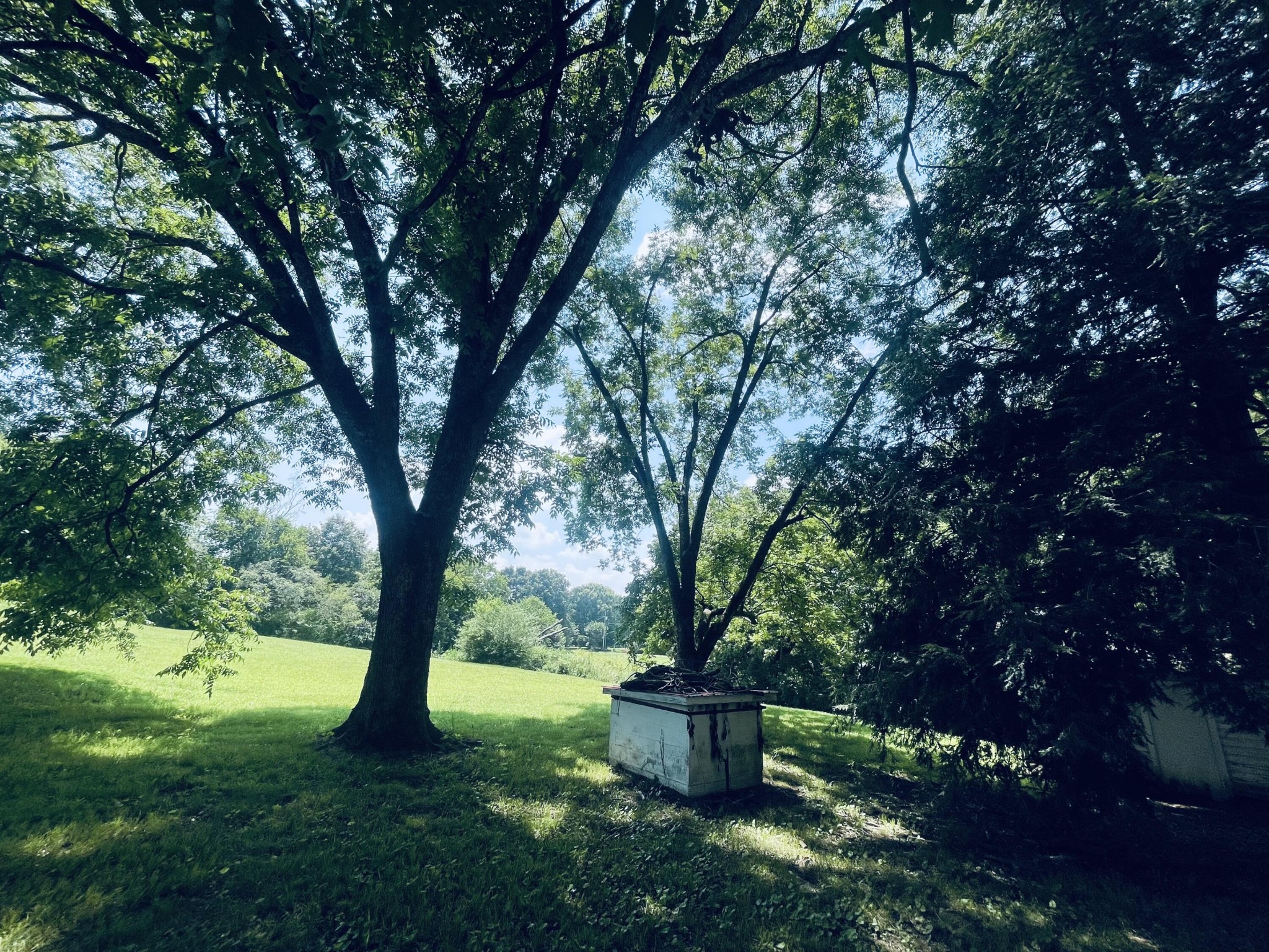 200 Old Fort Road Old Fort, TN 37362 - Photo 29 of 30 Gallery Image 29