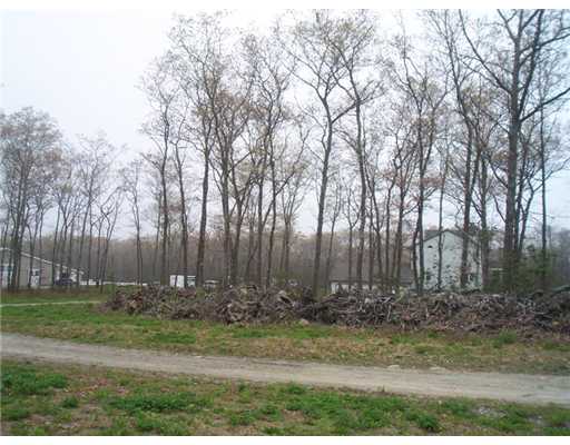 0 Knotty Pine Road Tiverton, RI 02878 - Photo 11 of 12 Land.