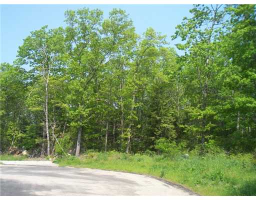 0 Knotty Pine Road Tiverton, RI 02878 - Photo 3 of 12 Land.