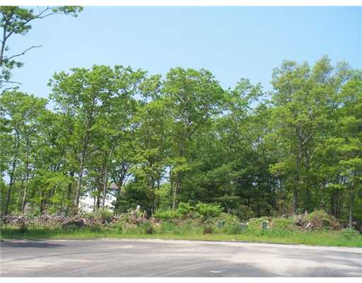 0 Knotty Pine Road Tiverton, RI 02878 - Photo 5 of 12 Land.