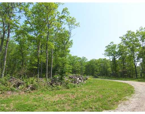 0 Knotty Pine Road Tiverton, RI 02878 - Photo 6 of 12 Land.