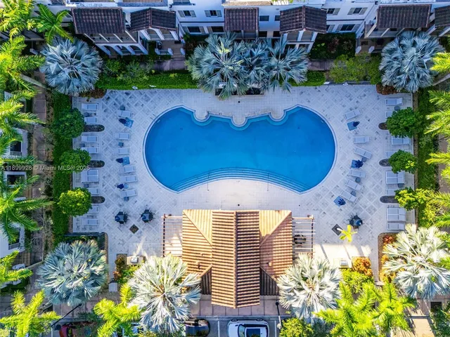 a view of a park with palm trees