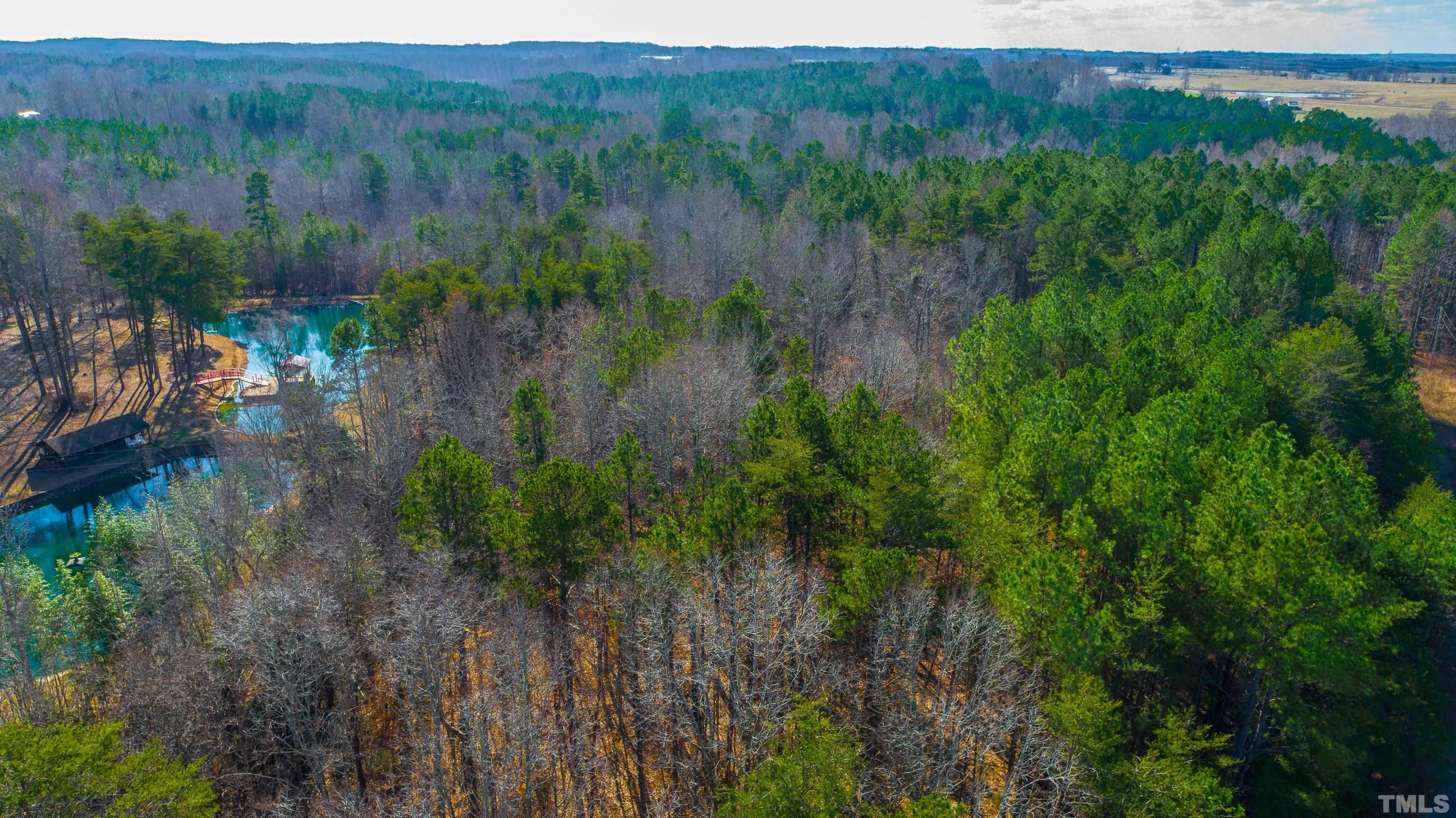 1.95-acre Archie Clayton Road Roxboro, NC 27574 - Photo 21 of 21 a view of a lush green forest with trees and some trees